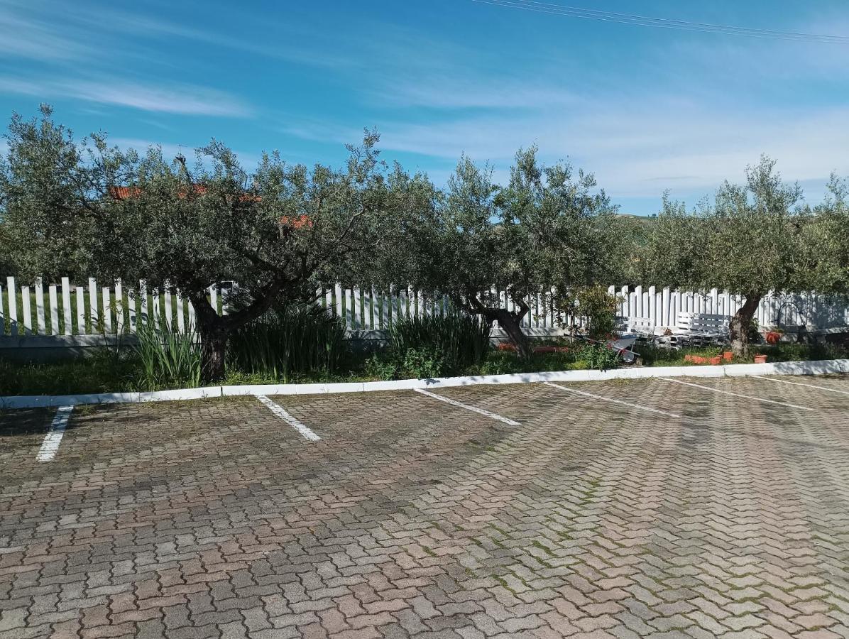 Bed and Breakfast Colline Del Sole San Salvo Zewnętrze zdjęcie